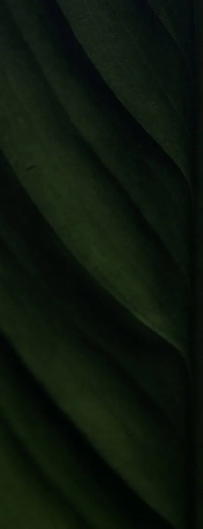 Integrated Aesthetics patient